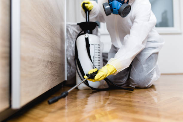 Best Flea Control Services  in Geneva, NY