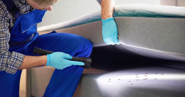 Best Mosquito Control Services  in Geneva, NY