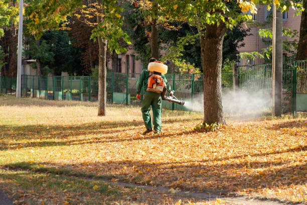 Best Bed Bug Extermination  in Geneva, NY