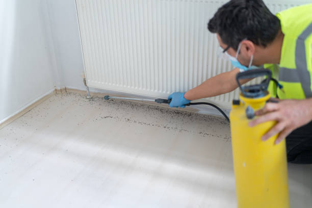 Best Pest Removal Services  in Geneva, NY